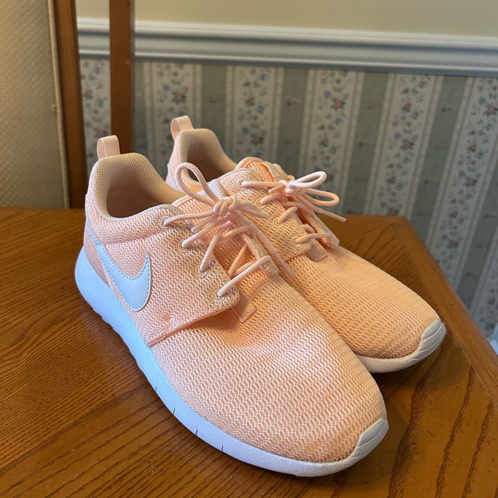 Nike Roche Run
